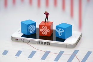 上海市民可到三家营业厅办理携号转网，附转网最详攻略及基础电信业务解析