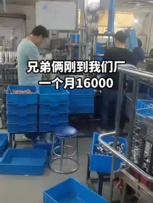 手足同心筑梦厂区，兄弟合力点亮人生